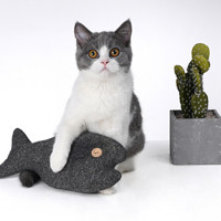 zeze 猫玩具 黑珍珠鱼抱枕