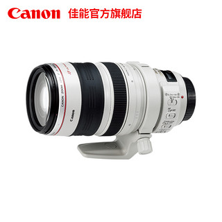 Canon/佳能 EF 28-300mm f/3.5-5.6L IS USM 单反镜头