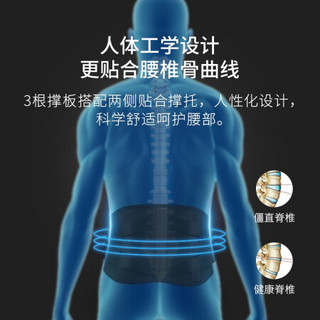 京东京造 护腰带 运动腰间篮球跑步 健身护具腰带腰封腰托 L