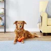 贝适安(PetSafe)运动员系列吱吱声 Booya狗玩具 橡胶制成 耐用健康宠物玩具 as pic Medium