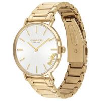 coach蔻驰Perry系列女士石英机芯防水金色优雅不锈钢手链手表36mm Gold ONE SIZE