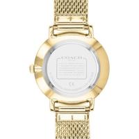 coach蔻驰女士Audrey系列防水石英机芯精致金色不锈钢手链手表35mm Yellow Gold ONE SIZE