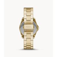Fossil化石男士多功能手表不锈钢表带50米防水38mm表盘BQ3612 Gold os