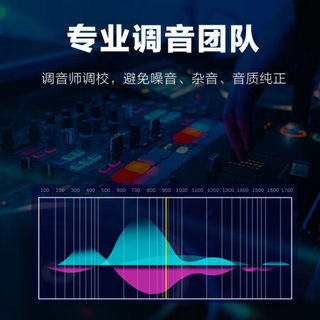 车载音乐u盘带歌曲2020抖音网络网红歌曲车用usb无损高音质dj音乐 32G无损wav抖音流行套餐