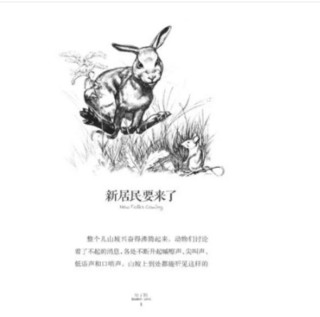 《长青藤国际大奖小说书系·兔子坡》