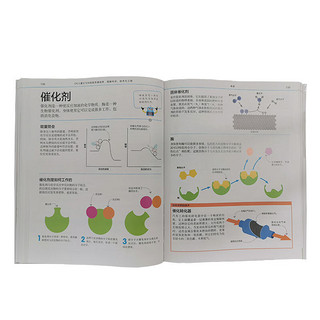 《DK儿童STEM创新思维培养·图解科学、技术与工程》（精装）