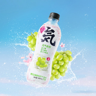 元气森林 苏打气泡水 樱花白葡萄味 480ml*12瓶