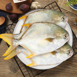 翔泰 金鲳鱼1.2kg（3-4条）*2件+南海带鱼段800g+免浆黑鱼片300g*3件