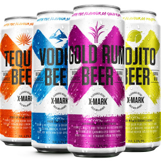 X-MARK 风味预调啤酒组合装 混合口味 500ml*6罐