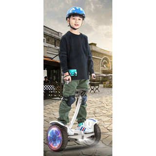 适用德国智能电动儿童平衡车成年双轮小孩两轮学生自体感车 十吋白色36V炫光款手控+腿控+蓝牙