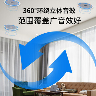 先科（SAST） 家庭影院5.1蓝牙功放机有线吸顶喇叭家用商用宣传同轴定阻音响套装天花板嵌入式音箱 8001B功放+D56喇叭2个