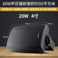 先科(SAST) 吸顶喇叭吊顶壁挂防水音柱吊球天花音响背景音乐音箱套装定压功放机 P40挂壁音箱20W