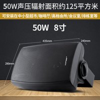 先科(SAST) 吸顶喇叭吊顶壁挂防水音柱吊球天花音响背景音乐音箱套装定压功放机 P40挂壁音箱50W