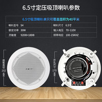 先科(SAST) 吸顶喇叭吊顶壁挂防水音柱吊球天花音响背景音乐音箱套装定压功放机 S4定压6.5寸吸顶喇叭