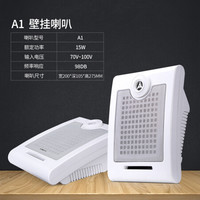 先科(SAST) 吸顶喇叭吊顶壁挂防水音柱吊球天花音响背景音乐音箱套装定压功放机 A1壁挂喇叭