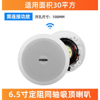 先科家用吸顶喇叭同轴天花吊顶音响嵌入户外音柱吊球壁挂音箱背景音乐无线蓝牙公共广播商场店铺餐厅扬声器 6.5寸同轴吸顶喇叭