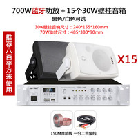 先科无线蓝牙会议室音响壁挂墙式喇叭背景音乐套装餐厅店铺门店奶茶宣传音箱 700W功放+15个30W音箱