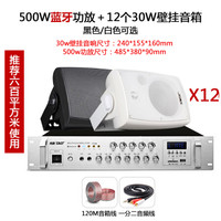 先科无线蓝牙会议室音响壁挂墙式喇叭背景音乐套装餐厅店铺门店奶茶宣传音箱 500W功放+12个30W音箱