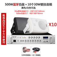 先科无线蓝牙会议室音响壁挂墙式喇叭背景音乐套装餐厅店铺门店奶茶宣传音箱 500W功放+10个30W音箱