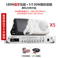 先科无线蓝牙会议室音响壁挂墙式喇叭背景音乐套装餐厅店铺门店奶茶宣传音箱 180W功放+5个30W音箱