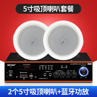 先科吸顶喇叭吊顶音响蓝牙功放背景音乐套装天花板嵌入装修室内房顶门店铺奶茶宣传音箱 蓝牙分区功放+2个5寸吸顶喇叭
