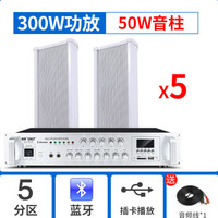 先科 音柱室外户外防水校园广播背景音乐公共广播门店奶茶喇叭音响功放壁挂式音箱系统套装 5分区300W功放+5个50W音柱