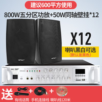 先科(SAST) 壁挂墙音响喇叭功放机音箱套装背景音乐公共广播校园会议商场店铺挂壁吸顶同轴音箱 800瓦五分区调音蓝牙功放+50W同轴壁挂喇叭*1