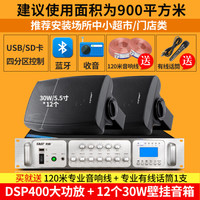 先科 壁挂音箱挂墙天花喇叭商用背景音乐公共广播超市门店奶茶服装店酒吧饭店餐厅墙壁套装音响 DSP400 功放+30W壁挂*12个