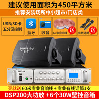 先科 壁挂音箱挂墙天花喇叭商用背景音乐公共广播超市门店奶茶服装店酒吧饭店餐厅墙壁套装音响 DSP200 功放+30W壁挂*6个