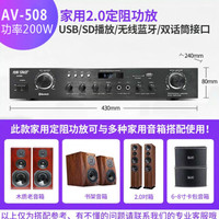 先科(SAST) 功放机家用蓝牙专业音响分区定阻定压公放音箱5.1迷你小型广播电脑功率放大器 AV508