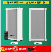 先科(SAST) 户外防水蓝牙音柱商用壁挂式音箱公共广播校园门店喇叭有源音响室外扩音器 30W有源蓝牙版主机+30W副箱(音频线+音响线)