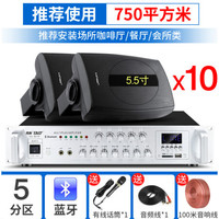SAST/先科 3D环绕重低音 壁挂音响+700瓦功放 10个5.5寸音响+700瓦功放