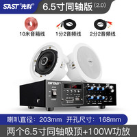 先科吸顶式5.1家庭影院音响电视家用客厅吊顶音箱客厅KTV3d环绕立体嵌入式重低音蓝牙功放套装背景音 2.0(6.5寸同轴吸顶套装)