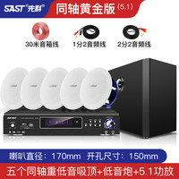 先科吸顶式5.1家庭影院音响电视家用客厅吊顶音箱客厅KTV3d环绕立体嵌入式重低音蓝牙功放套装背景音 5.1(重低音同轴黄金版吸顶套装)