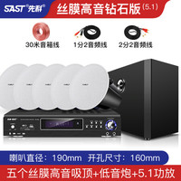 先科吸顶式5.1家庭影院音响电视家用客厅吊顶音箱客厅KTV3d环绕立体嵌入式重低音蓝牙功放套装背景音 5.1(丝膜高音钻石版吸顶套装)
