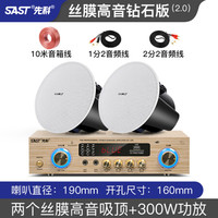先科吸顶式5.1家庭影院音响电视家用客厅吊顶音箱客厅KTV3d环绕立体嵌入式重低音蓝牙功放套装背景音 2.0(丝膜高音钻石版吸顶套装)