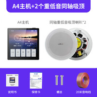 先科(SAST) 家用智能语音背景音乐系统主机家居面板吸顶音响吊顶嵌入播放蓝牙控制器天花喇叭家庭音箱 标配+2个6.5寸同轴吸顶