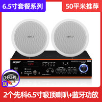  SAST/先科 k1 无线背景音乐系统 吸顶喇叭扬声器套装+蓝牙分区功放+6.5寸吸顶喇叭  蓝牙分区功放+2个6.5寸吸顶喇叭