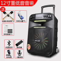 新科12寸广场舞音响大功率户外演出便携式移动拉杆音箱带无线话筒家用直播K歌充电蓝牙室外唱歌重低音播放 12寸重低音蓝牙版+2只金属U段话筒+16GU盘+