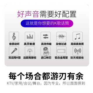 先科OK-67无线话筒一拖二家用唱歌 KTV专用K歌功放机音响卡拉OK话筒 会议室舞台手持专业u段调 进阶麦霸标准版 官方标配