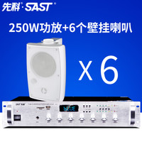 先科  D15壁挂音响套装蓝牙四分区功放机会议商用广场宣传学校音响背景音乐喇叭 250W蓝牙四分区+壁挂音响D50X6