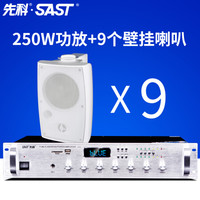 先科  D15壁挂音响套装蓝牙四分区功放机会议商用广场宣传学校音响背景音乐喇叭 250W蓝牙四分区+壁挂音响D70X9