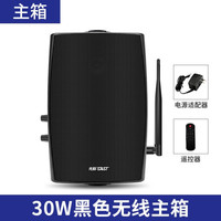 先科 无线蓝牙壁挂音响重低音家用音箱挂墙壁挂式餐厅超市商铺门店公共广播店铺背景音乐套装店铺广播喇叭 30W黑色无线主箱