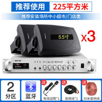 先科 P6 壁挂音响无线蓝牙功放重低音音响套装店铺专用音箱室内商用超市餐厅挂壁式奶茶店服装店挂墙喇叭 180W功放+5.5寸重低音壁挂*3+有线话筒