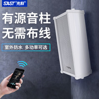 先科(SAST)户外无线蓝牙防水音柱室外挂墙音箱超市壁挂式音响商场公共广播店铺门店头餐厅背景音乐喇叭 淋水版30W主箱+副箱(升级版)
