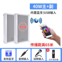 先科(SAST)户外无线蓝牙防水音柱室外挂墙音箱超市壁挂式音响商场公共广播店铺门店头餐厅背景音乐喇叭 有源40W音柱主箱+副箱