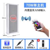 先科(SAST)户外无线蓝牙防水音柱室外挂墙音箱超市壁挂式音响商场公共广播店铺门店头餐厅背景音乐喇叭 有源70W音柱主箱