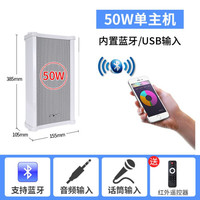 先科(SAST)户外无线蓝牙防水音柱室外挂墙音箱超市壁挂式音响商场公共广播店铺门店头餐厅背景音乐喇叭 有源50W音柱主箱