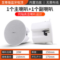 先科无线蓝牙吸顶音响天花吊顶家用客厅电视喇叭重低音3D环绕背景音乐壁挂音箱广播室内店铺餐厅套装嵌入式 至尊版无线蓝牙同轴吸顶主机+1副机