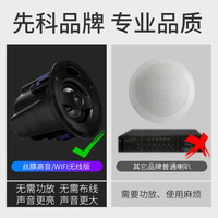 先科APP智能WIFI网络无线蓝牙吸顶音响3D环绕立体声嵌入式有源背景音乐广播喇叭套装商 WIFI版同轴黄金款主机+2副箱